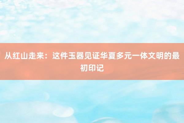 从红山走来：这件玉器见证华夏多元一体文明的最初印记