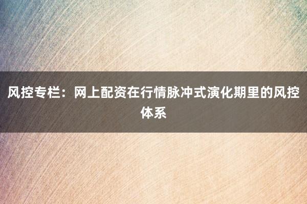 风控专栏：网上配资在行情脉冲式演化期里的风控体系