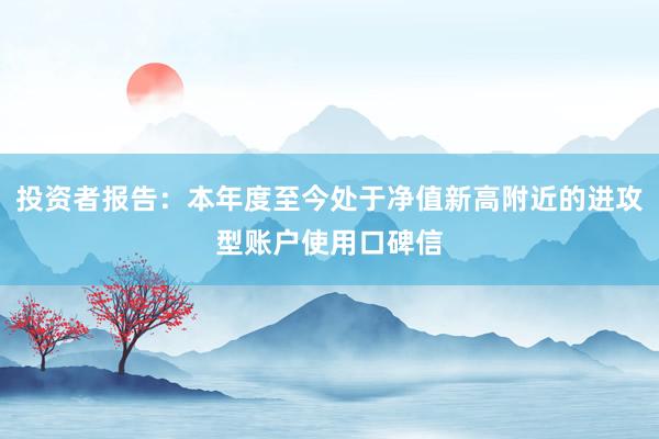 投资者报告：本年度至今处于净值新高附近的进攻型账户使用口碑信