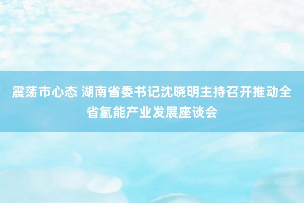 震荡市心态 湖南省委书记沈晓明主持召开推动全省氢能产业发展座谈会